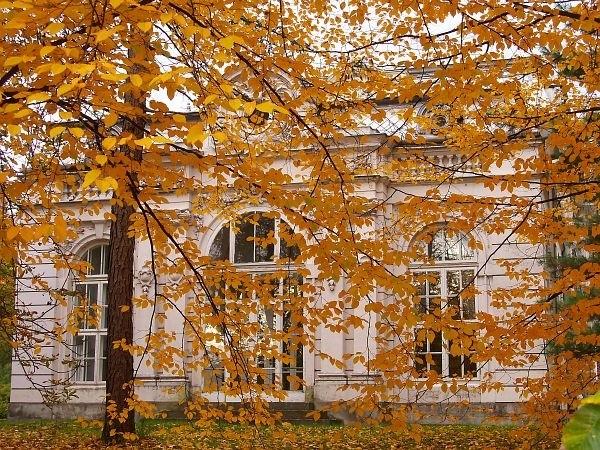 Pałac, Zaborów