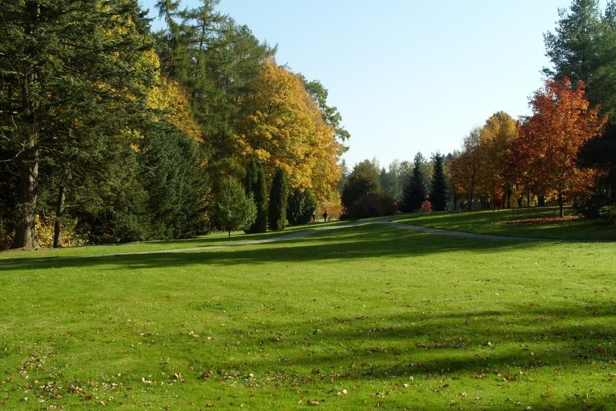 Arboretum w Wirtach