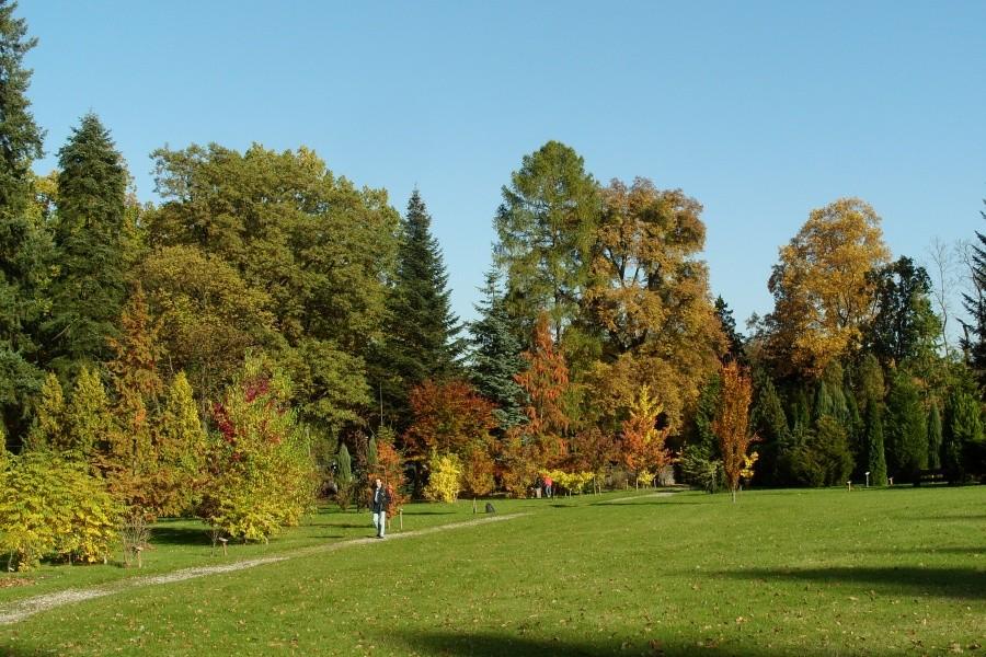 Arboretum w Wirtach