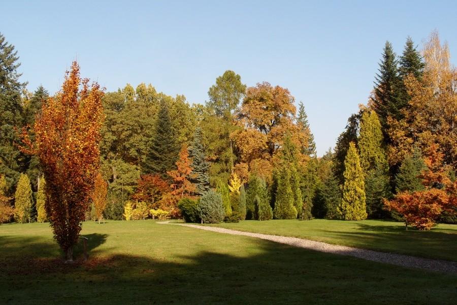 Arboretum w Wirtach