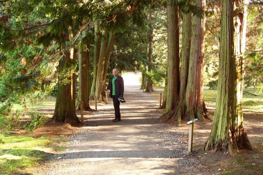 Arboretum w Wirtach