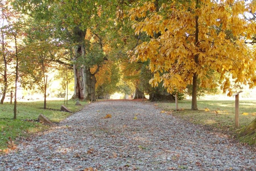 Arboretum w Wirtach