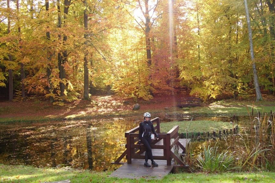 Arboretum w Wirtach