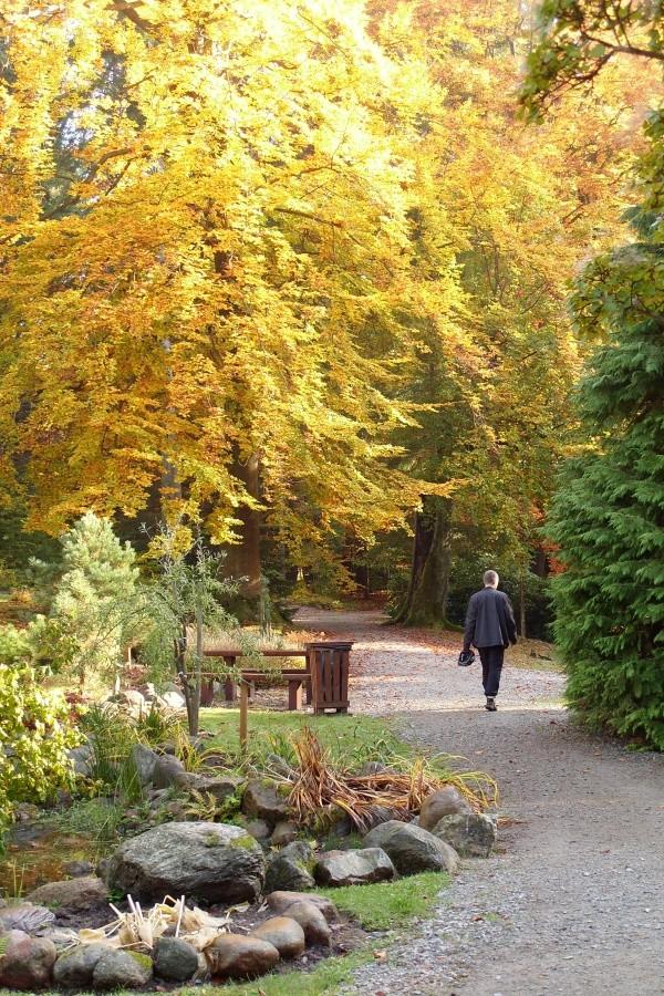 Arboretum w Wirtach