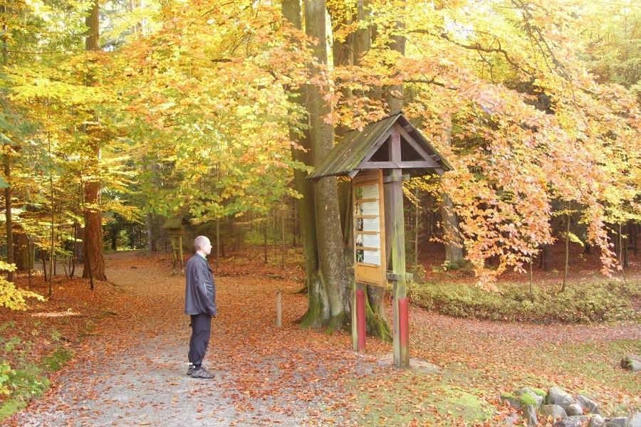 Arboretum w Wirtach