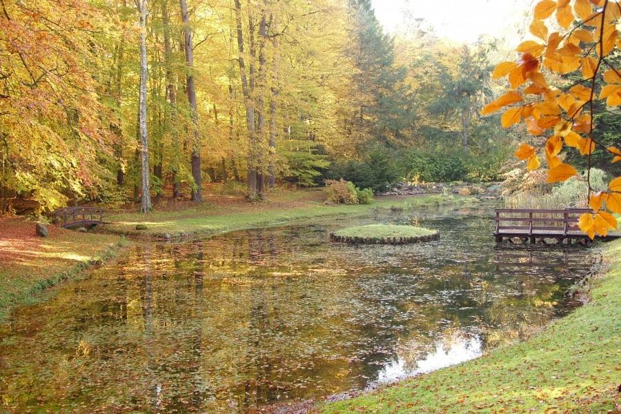 Arboretum w Wirtach