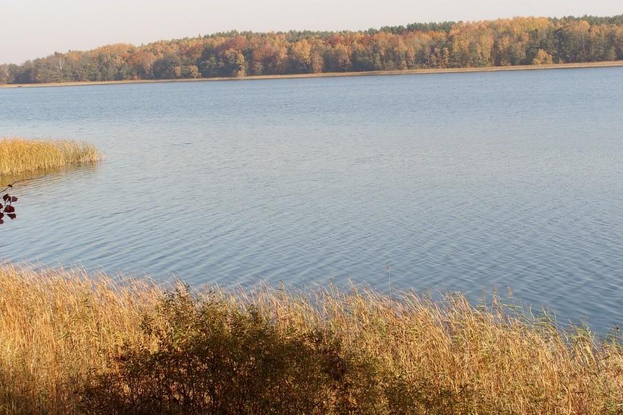 Arboretum w Wirtach - widok na Jezioro Borzechowskie