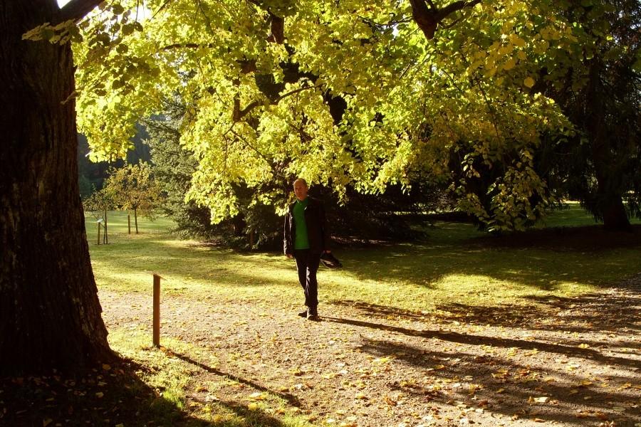 Arboretum w Wirtach