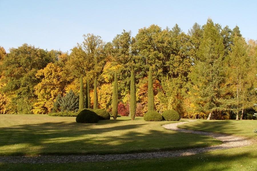Arboretum w Wirtach