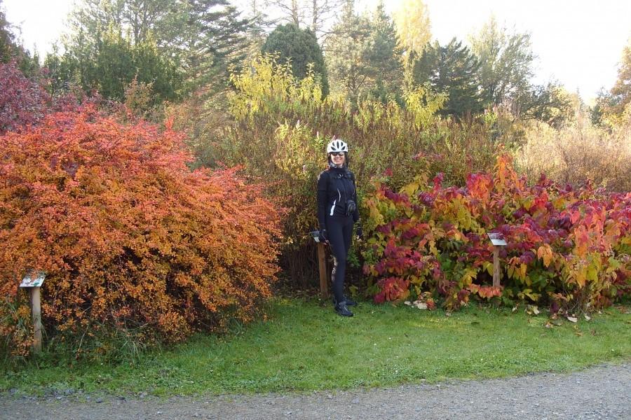 Arboretum w Wirtach