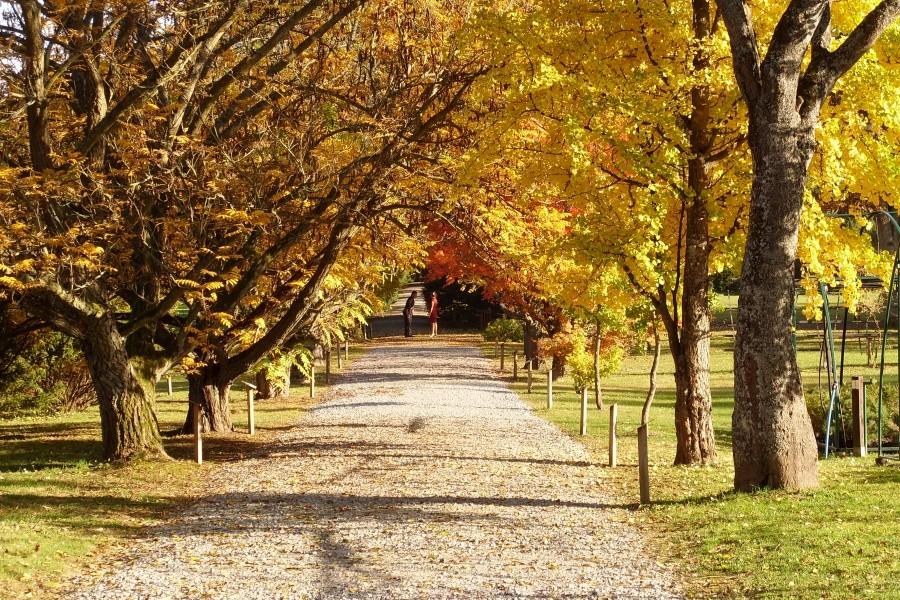 Arboretum w Wirtach