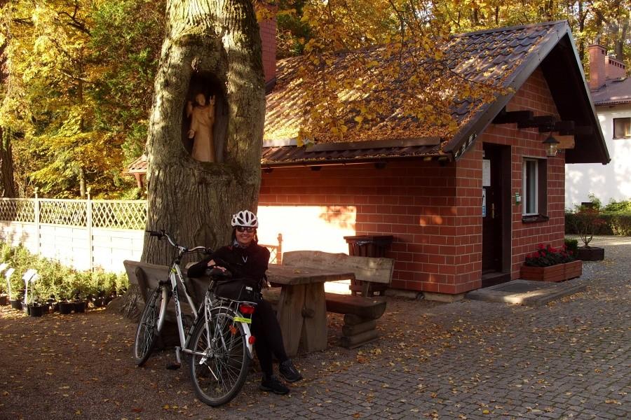 Arboretum w Wirtach