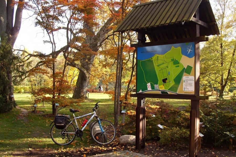 Arboretum w Wirtach