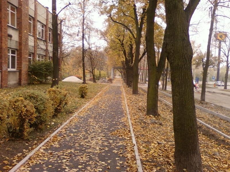 DDR na Niciarnianej - pierwsza warstwa asfaltu