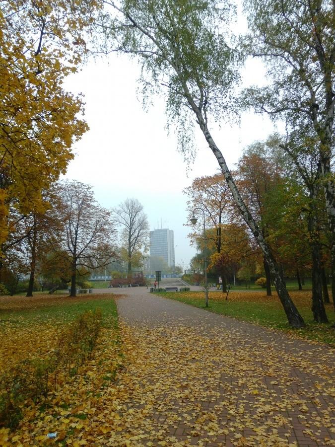 Katowice: Park Kościuszki