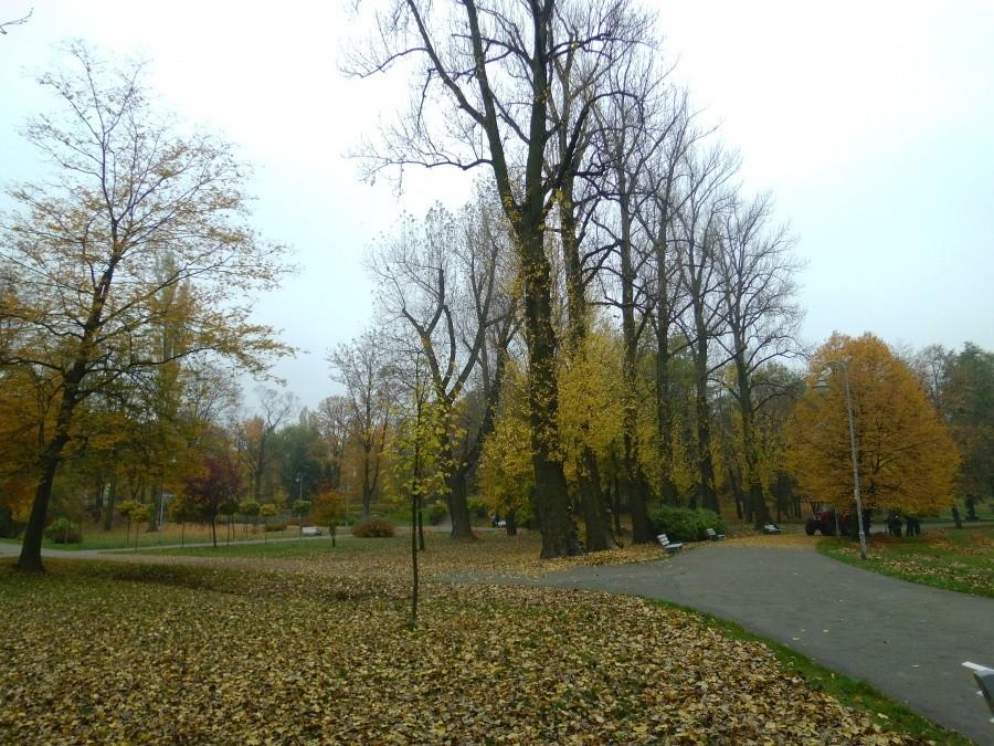 Katowice: Park Kościuszki