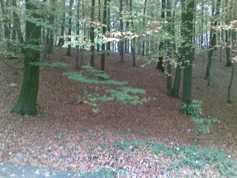 Barwy jesieni