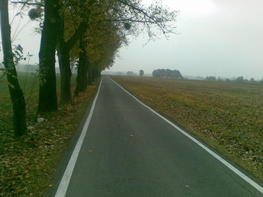 Jesień w Golasowicach