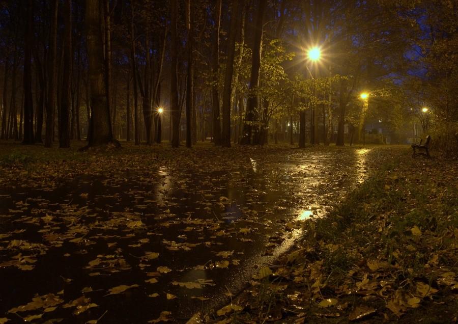 Nocą w parku