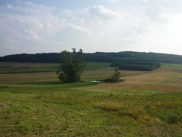 Widok ze wzgórza w Rzadkowie