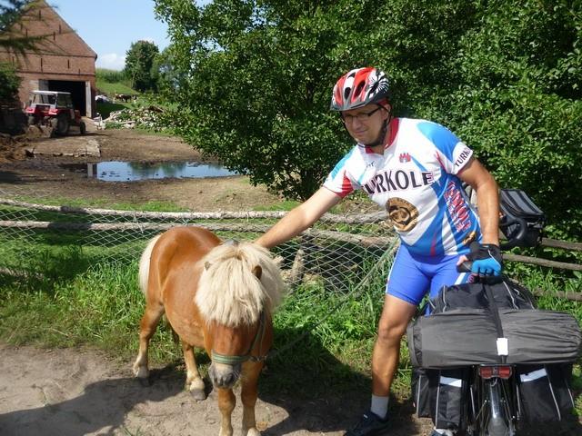 My little pony;)