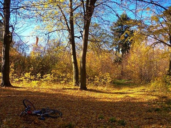 Krajobrazowy park podworski z II połowy XIX wieku, Kroczewo
