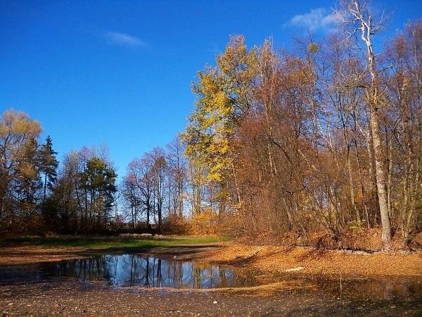 Drugi ze stawów, trochę wyschnięty