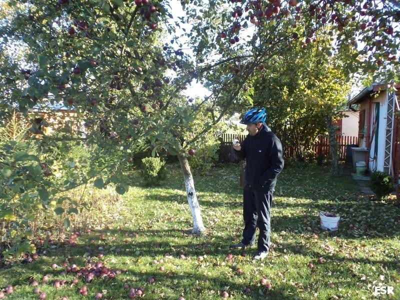 Darecki EB na działce Dareckiego