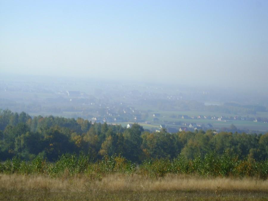 Widoki w Widomy
