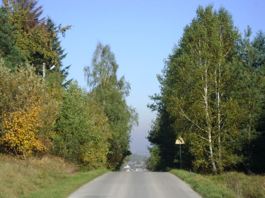 Stromy zjazd w kierunku Malmurzyna