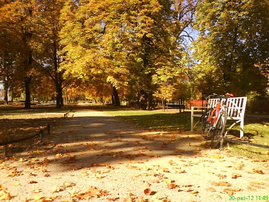 Żarski park po rewitalizacji