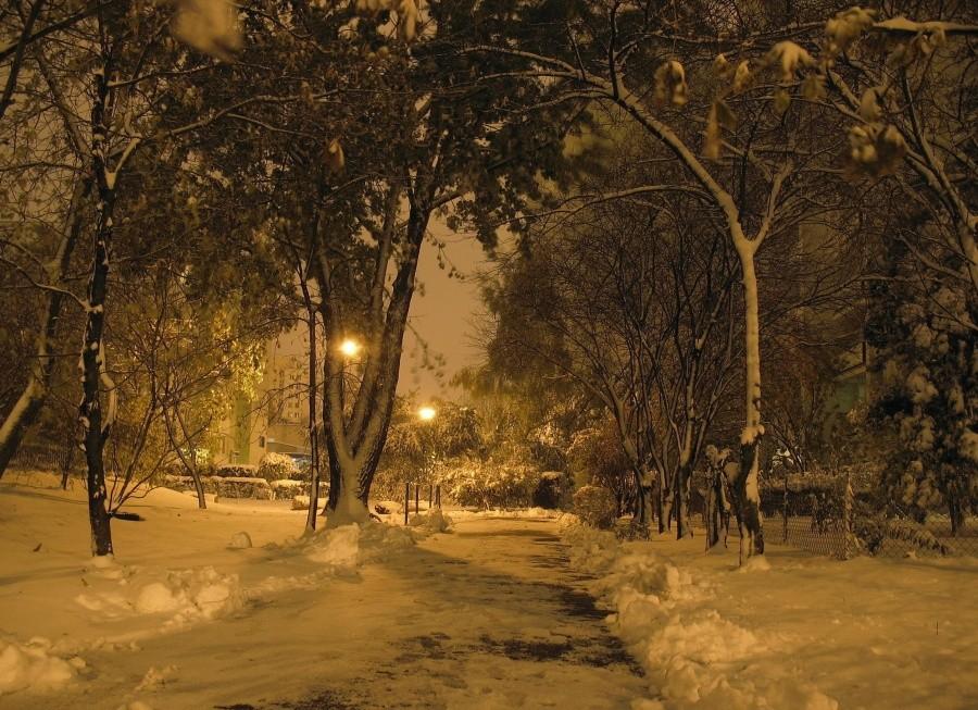 Ursynów - październikowa nocna alejka