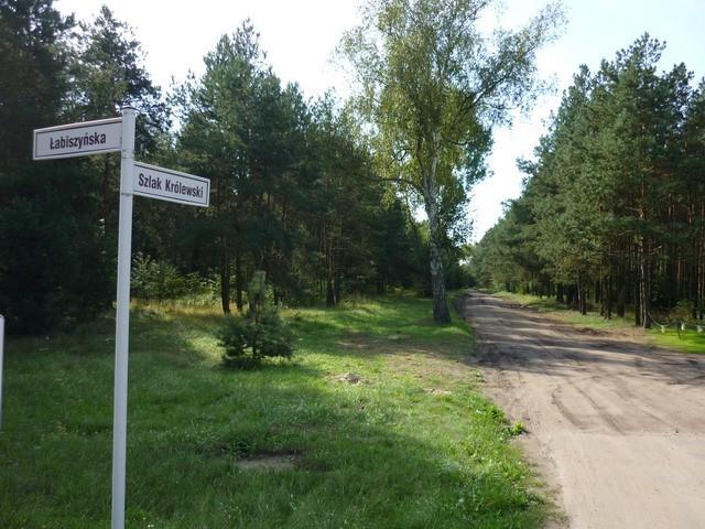 Inaczej wyobrażałem sobie szlak królewski