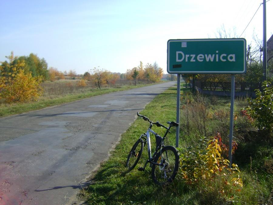 W Drzewicy