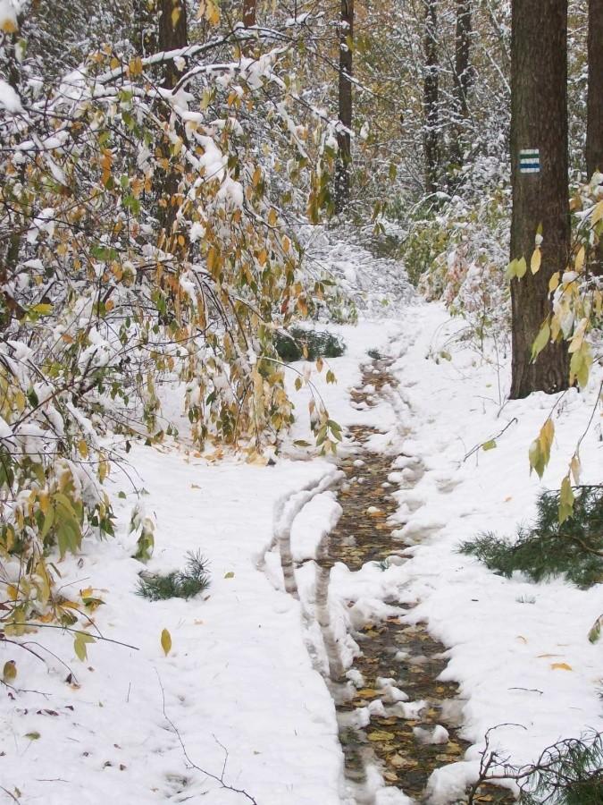 październikowe śnieżne szlaki