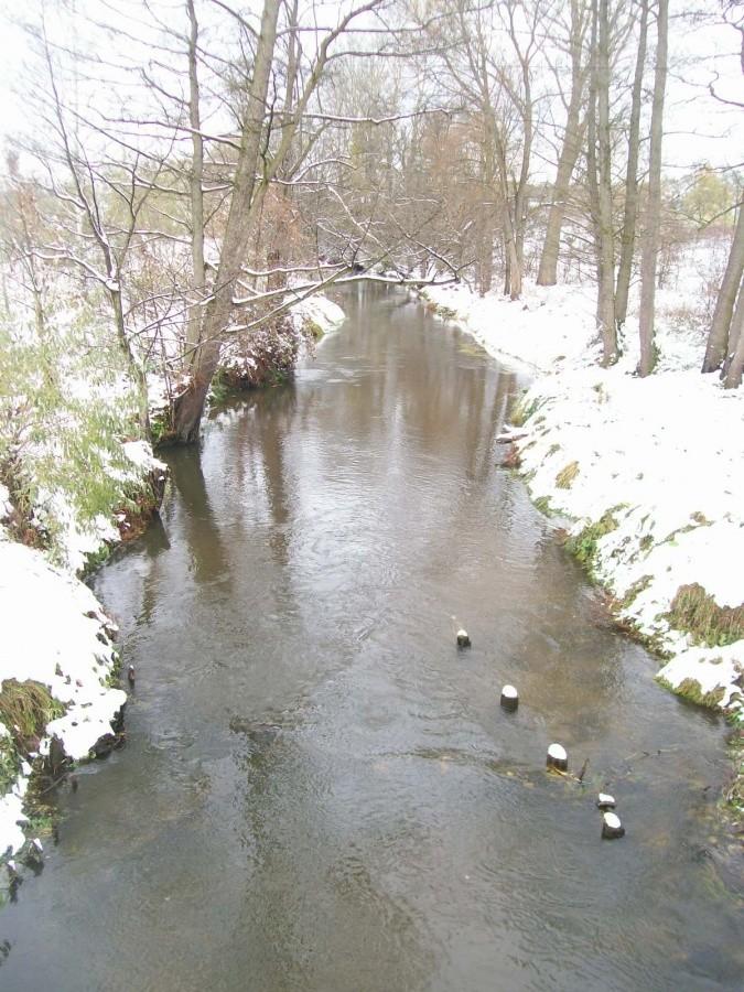 Heziorka w jesienno zimowej szacie.