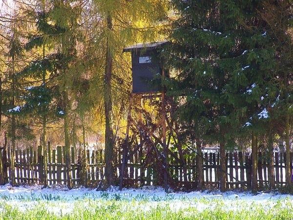 Ambona myśliwska