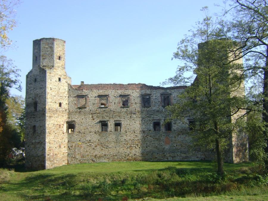 Zamek w Drzewicy