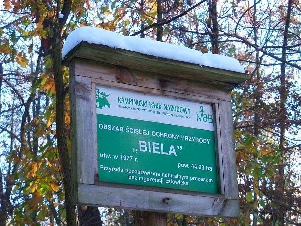 Rezerwat Biela