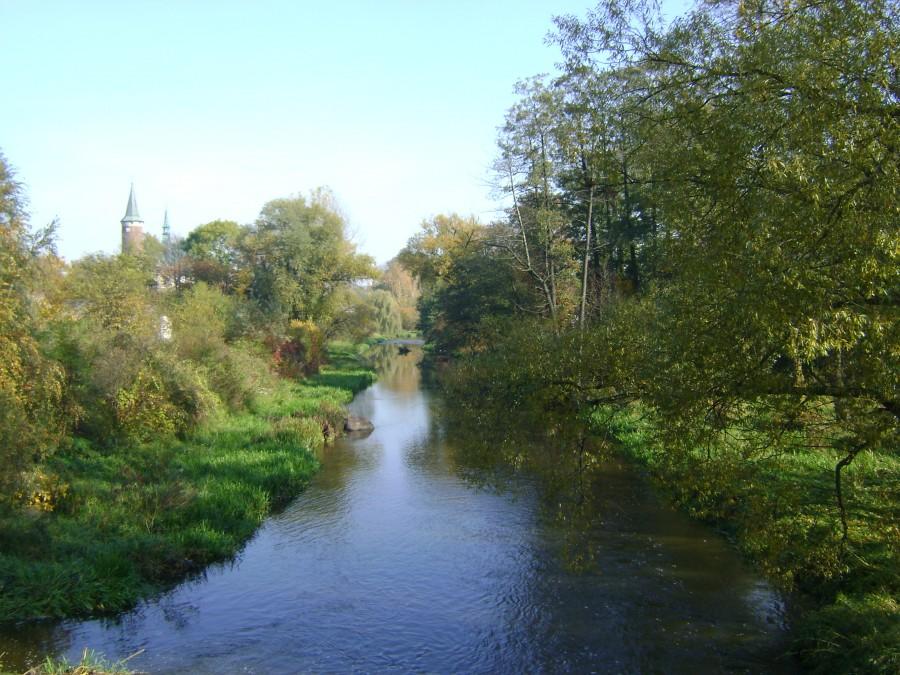 Rzeka Drzewiczka w Drzewicy