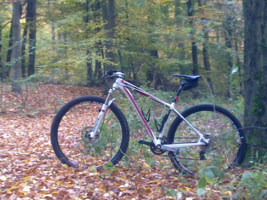 29" Ryby w plenerze lasów Pobiedzisk.Sobota.Pierwszy śnieg :-)