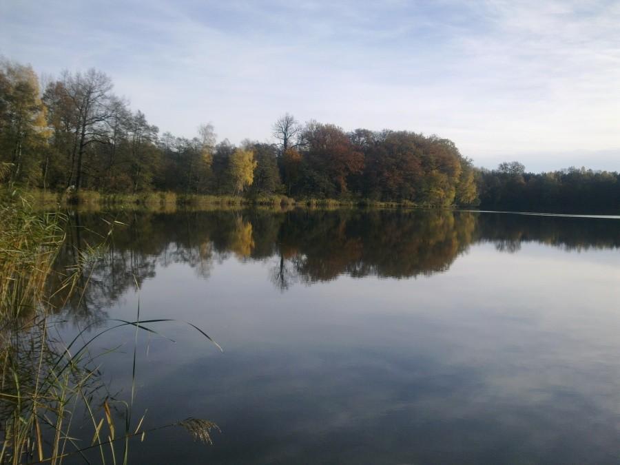 Śliczny poranek 2012-10-28 niedziela.Jezioro Baba.