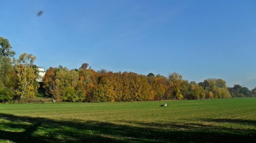Jesień w parku