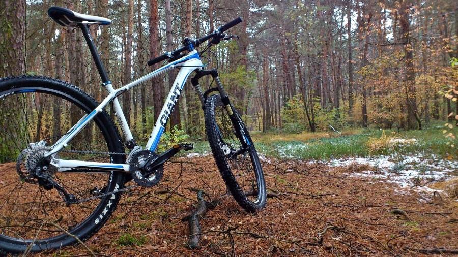 Giant w lesie, gdzie leży trochę śniegu