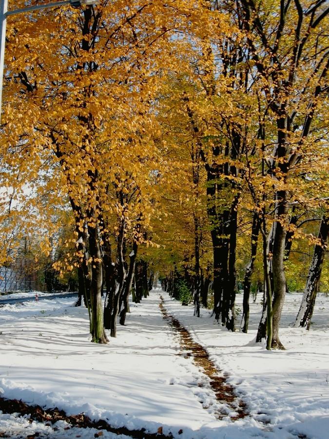 Park przy najstarszej szkole w Głownie SP nr 1