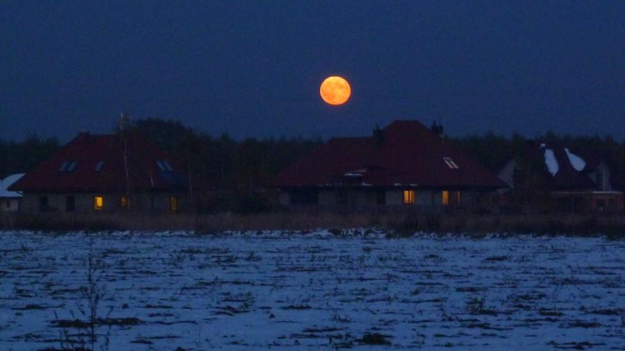 Księżyc nad lasem