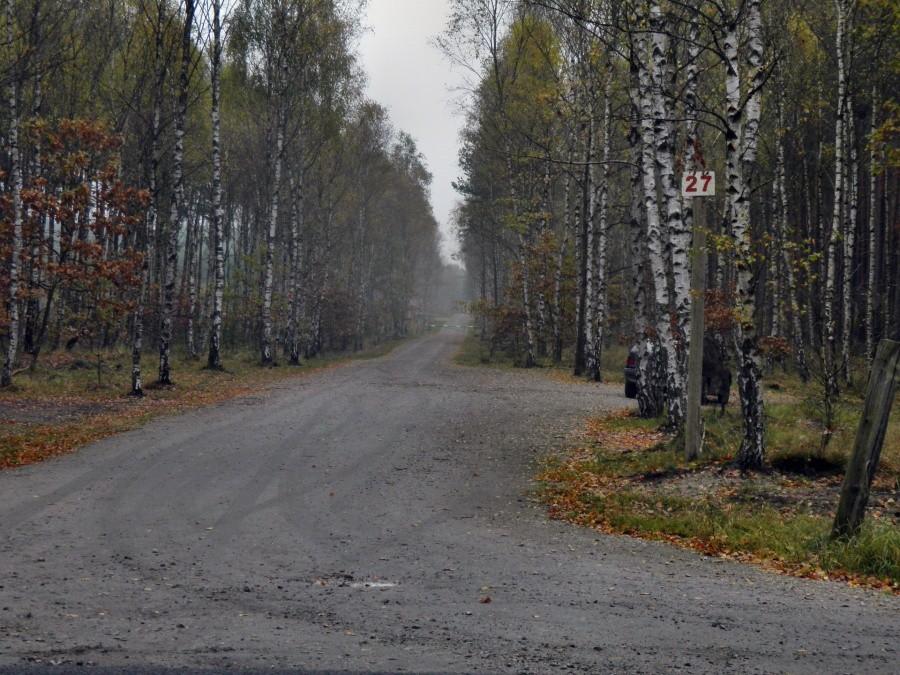 Późno jesienny widok na zwykle uroczą drogę leśną z numerem 27.