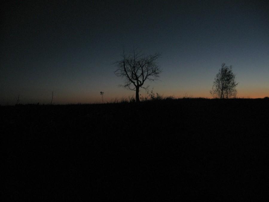 Spóźniłem się na zachód.