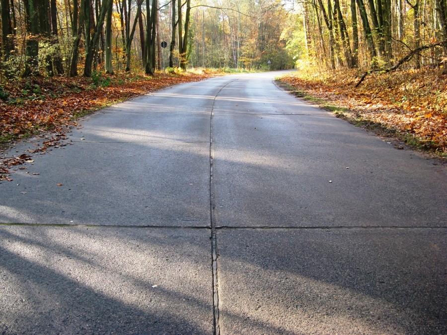 Grajzerówka