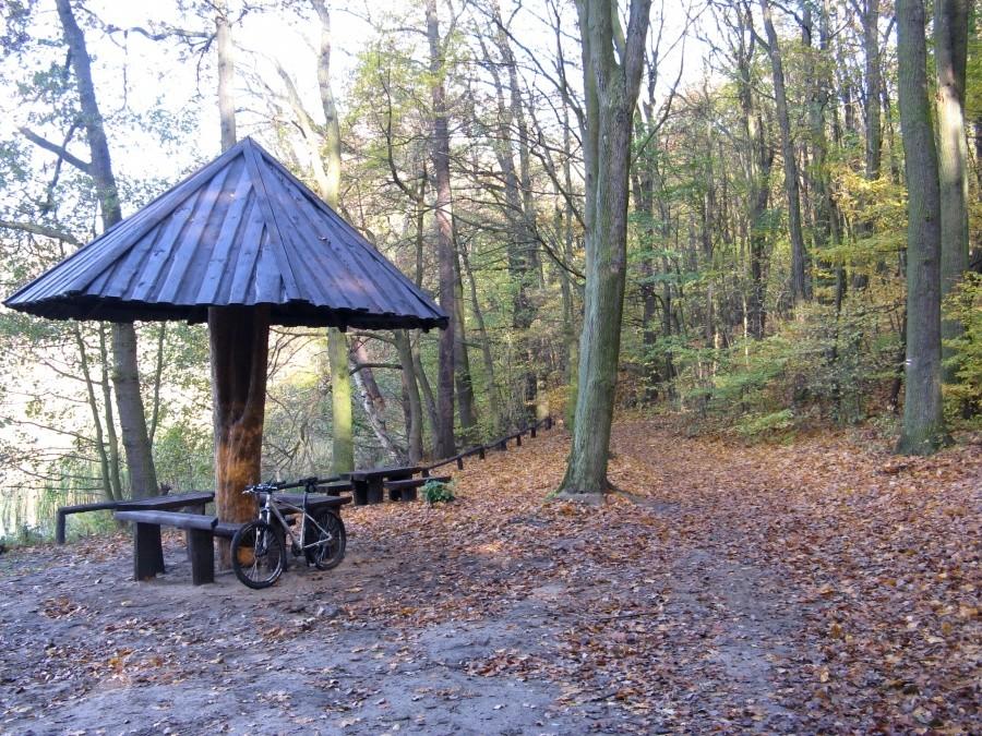 Czerwony szlak nad J. Góreckim